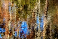 Abstract;Abstraction;Blue;Brown;Calm;Flow;Forest;Gold;Great-Smoky-Mountains;Grea